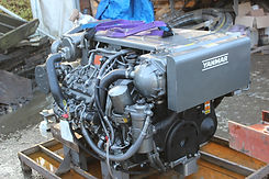 IMG_3928.jpeg
