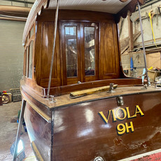 VIOLA 6
