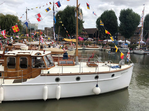 Brown Owl in St. Kats. 2018..jpg