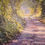 Thumbnail: Hidden Lane Ashleyhay by Mark Preston