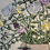 Thumbnail: Buff by Jane Hooper