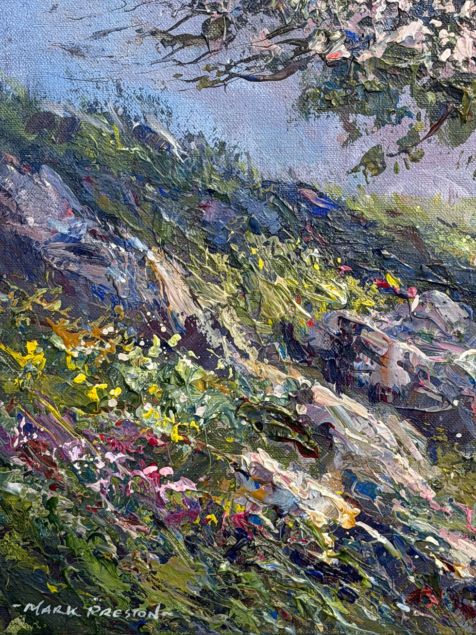 Thumbnail: Lone Hawthorn, Hollinsclough by Mark Preston