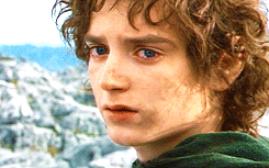 A Defence of Frodo - The Weight of Invisible Illnesses