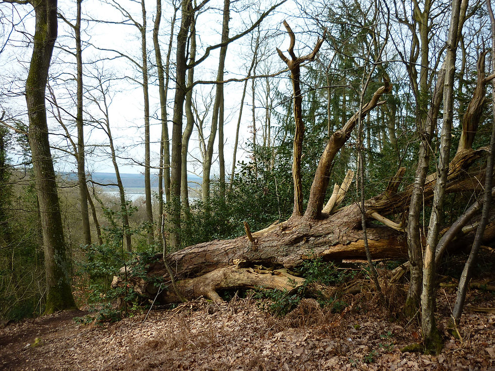 Découvrez la nature dans l'eure en suivant la légende des Deux Amants