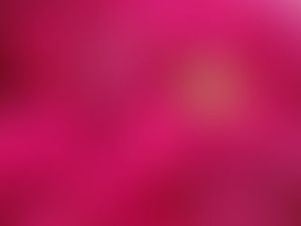 6 Ways to Sense the Magic in a Moment