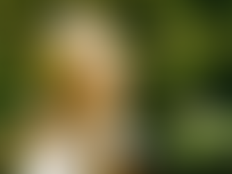 Honoring Jane Goodall