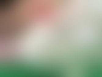 Leaping Rhino: The Rabbit Who Opened the Door to Change