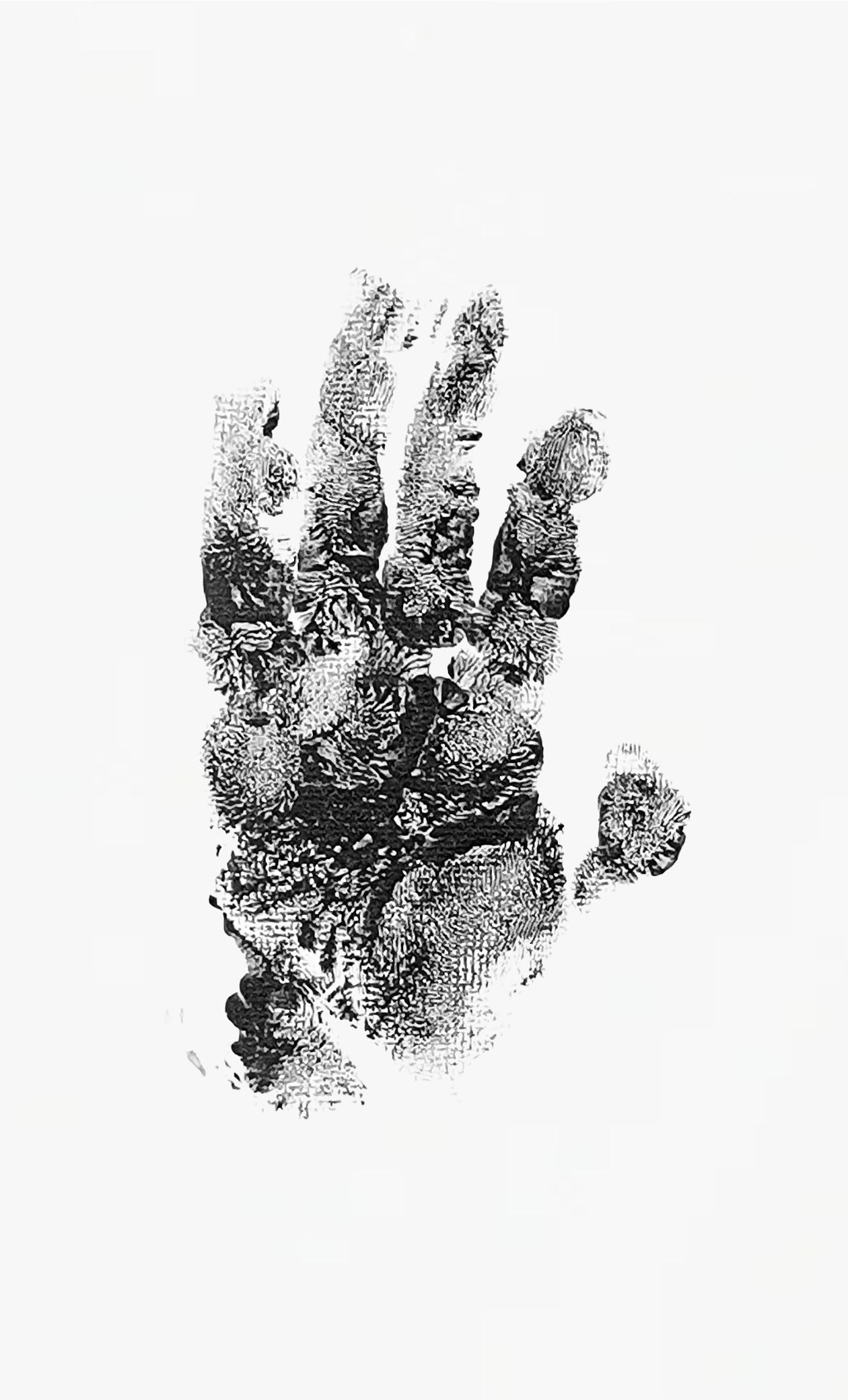 Writer: Morgan [Guest Blog]