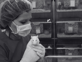 When “Compassion Fatigue” is Weaponized in Animal Labs