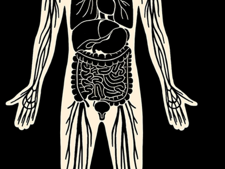 THE BODY KNEW Science Has Finally Caught Up to Something Chinese Medicine Mapped 4,000 Years Ago