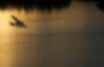 Seaplane_2091_20120215.jpg