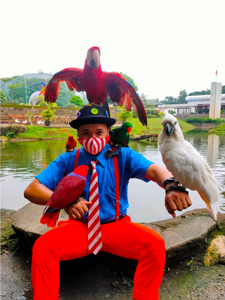 Mr Bambam in "Birds" Theme