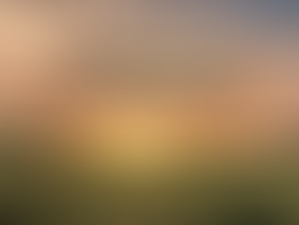 After 8 Years… Let It Grow Hemp Is Closing