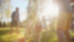 Thumbnail: dog playing in the park