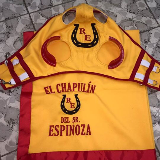 Miniatura: Juego de Blinker y Mantilla Personalizada