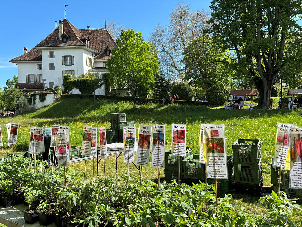 stefanie_feller_schloss