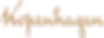 logo.webp