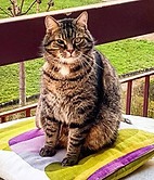 165450363_2505568123071652_9671475427023