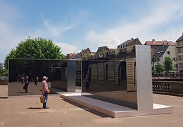 20210604_124153 (1).jpg