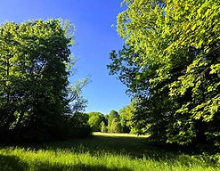 _copie-0_20260501_090123.jpg