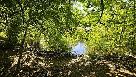 _copie-0_20260501_085018.jpg