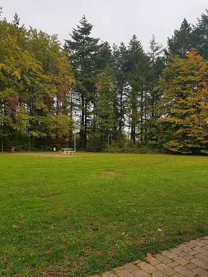20221020_114830.jpg