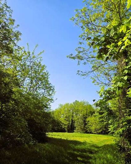 _copie-0_20250501_102637.jpg