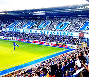 IMG_20220806_165751_664 (1).jpg