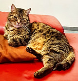 IMG_20210409_201341_601 (1).jpg