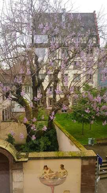 _copie-0__copie-0_20240420_110516.jpg