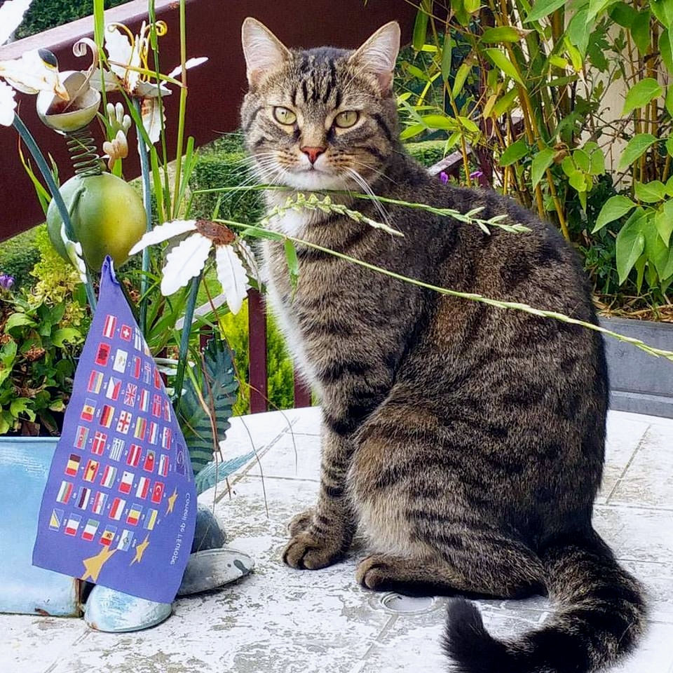 2016 - 07.14 - sur la terrasse