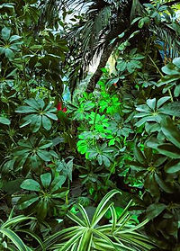 _copie-0_20250518_101957.jpg