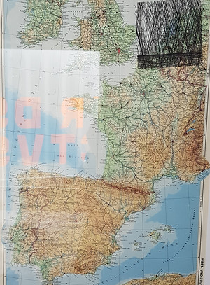 20210605_102111 (2).jpg