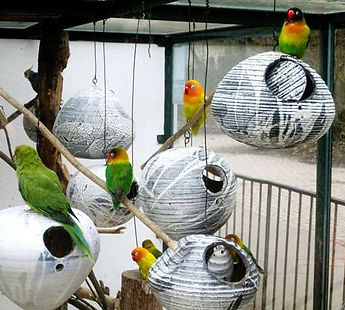 _copie-0_2014 - 01.09 097.jpg