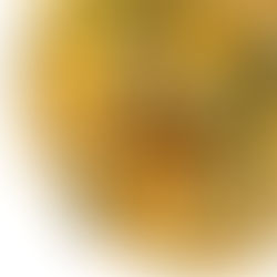 "ריזוטו" גריסי שיבולת שועל ודלורית