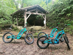 Trottinette tout terrain électrique