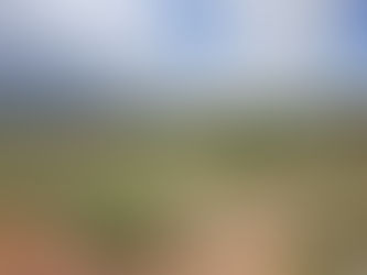 PEDIDO DE REQUERIMENTO DE LICENÇA PRÉVIA E INSTALAÇÃO - LPI