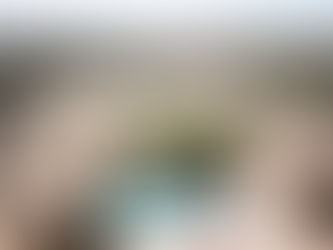 REQUERIMENTO DE RENOVAÇÃO DE LICENÇA DE OPERAÇÃO - LO