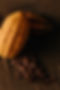 431A6029.jpg