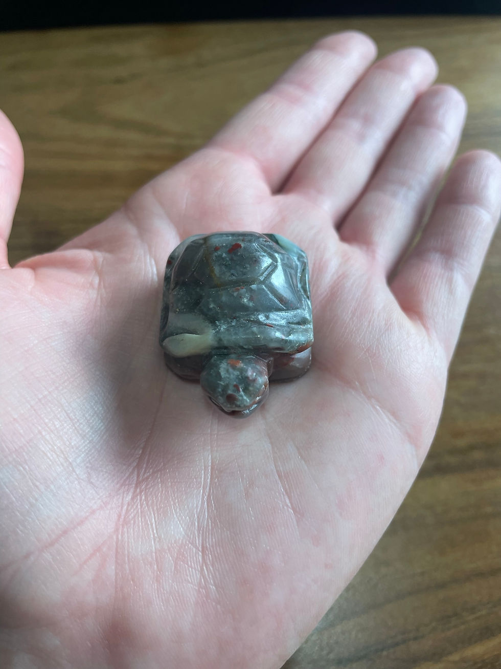 Red Vein Jasper Turtle