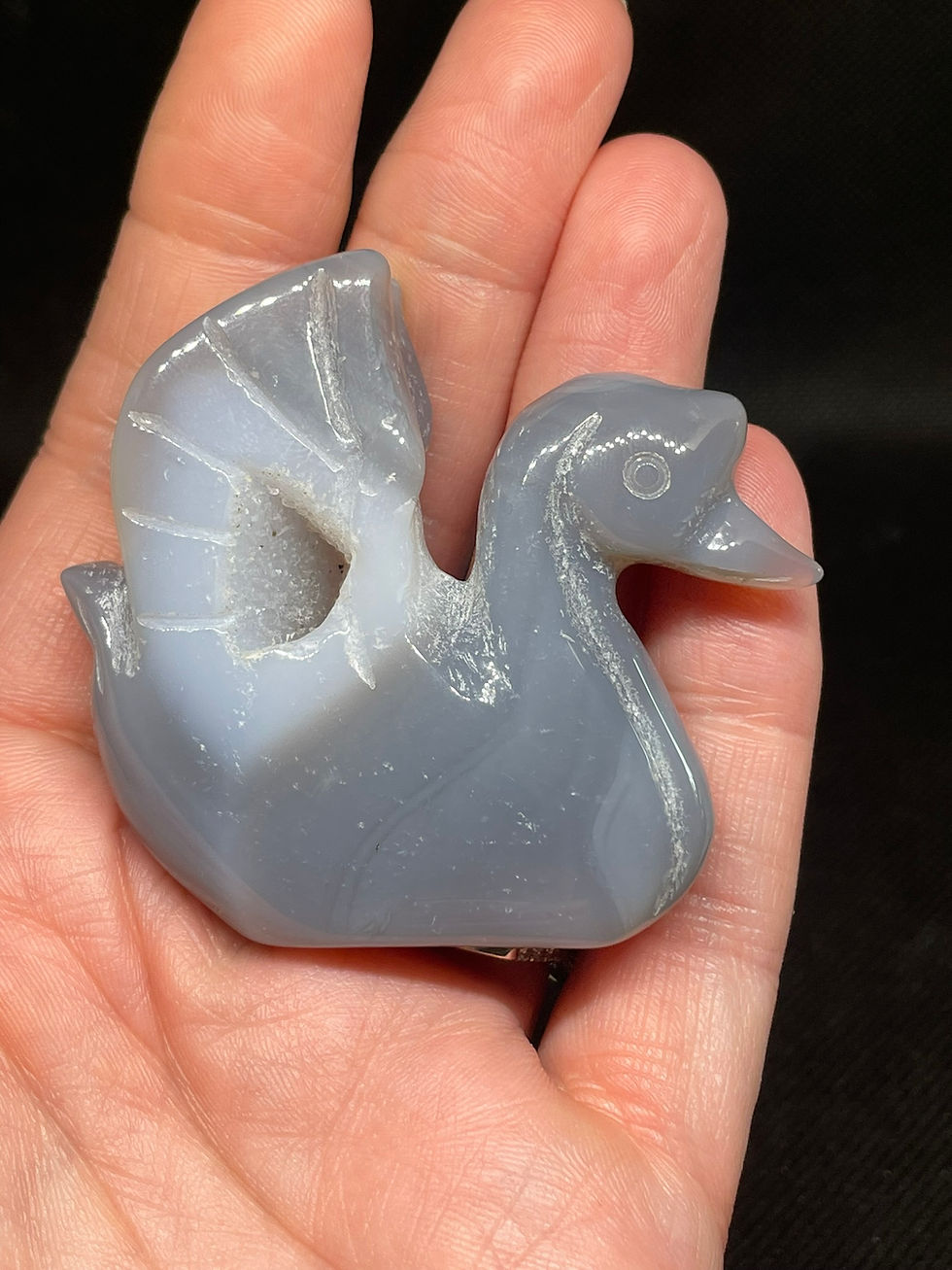 Thumbnail: Druzy Agate Swan
