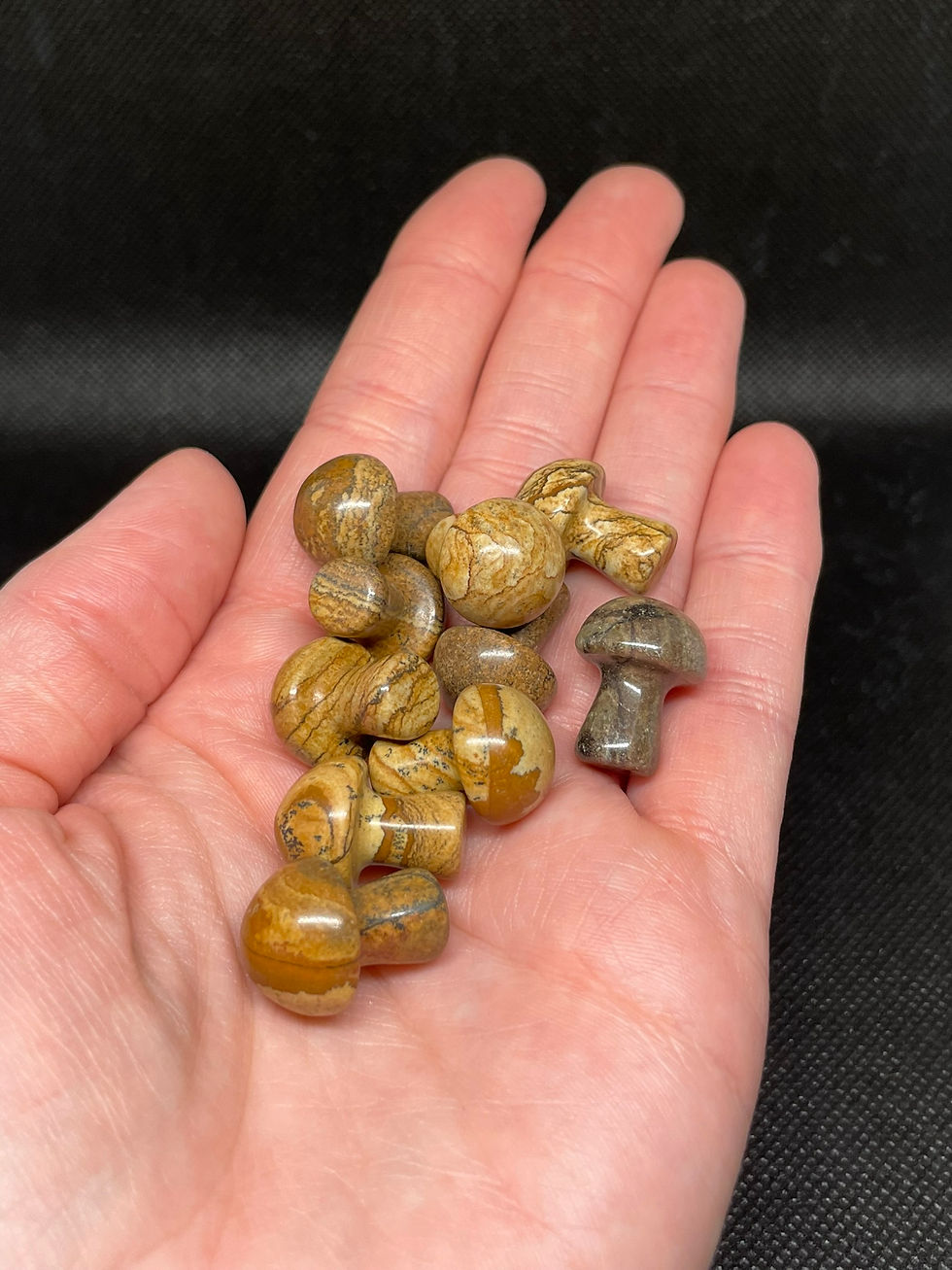 Picture Jasper Mini Mushroom