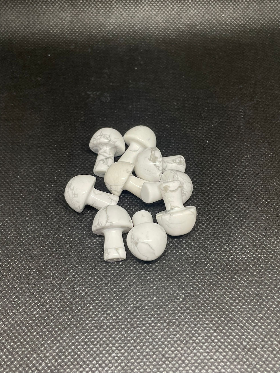 Thumbnail: Howlite Mini Collection