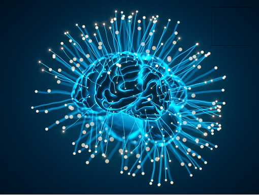 Certification Neurosciences cognitives et apprentissages _ Pour une école en transition.pn