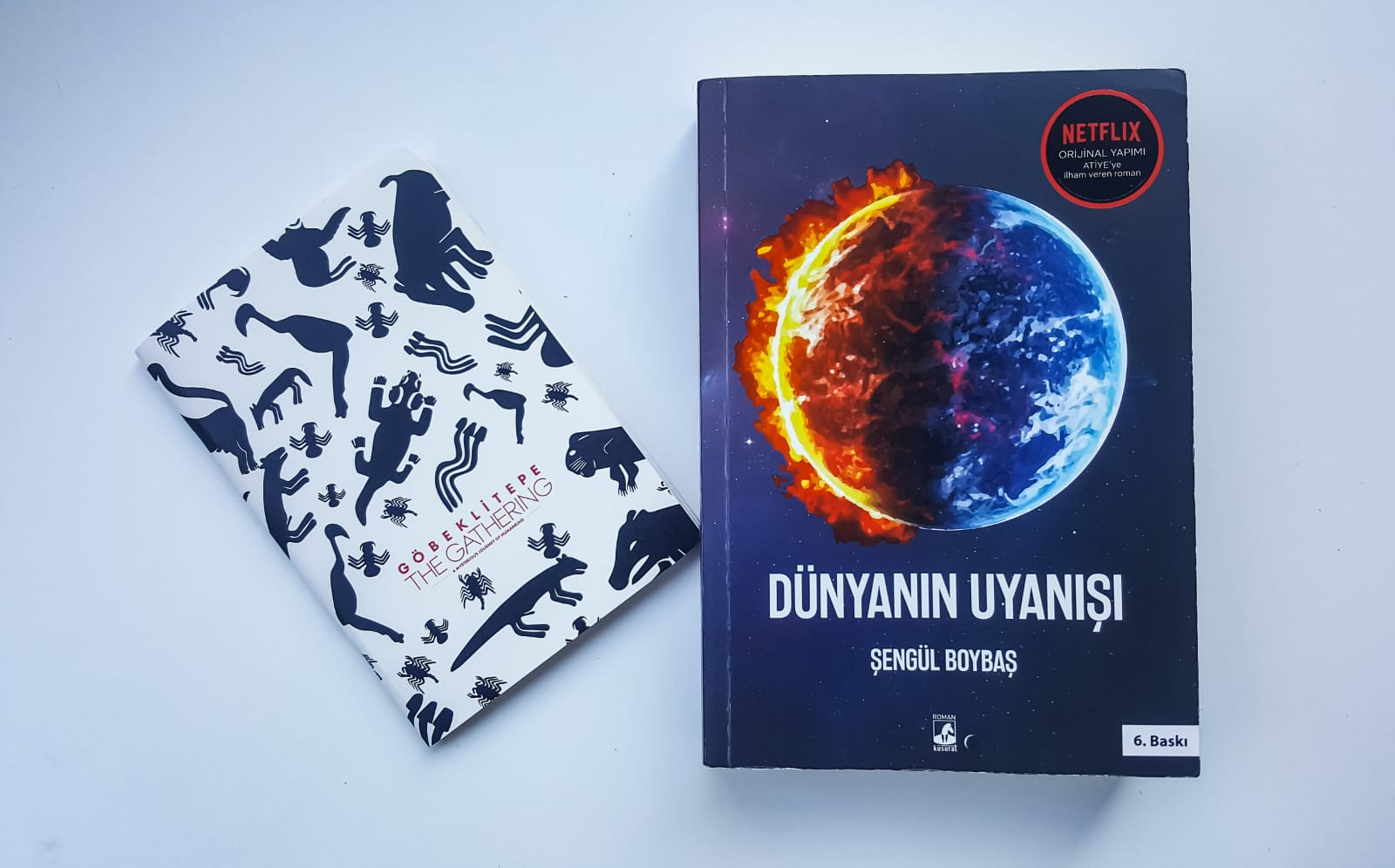 Dunyanin Uyanisi Romanoku Org
