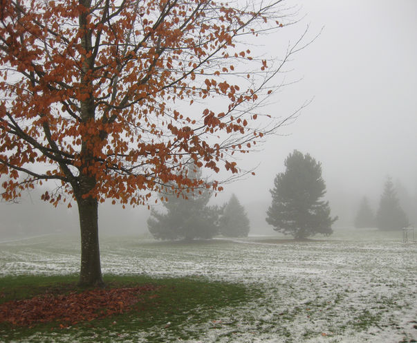 Beautiful Fall Day