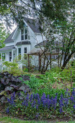 spring view