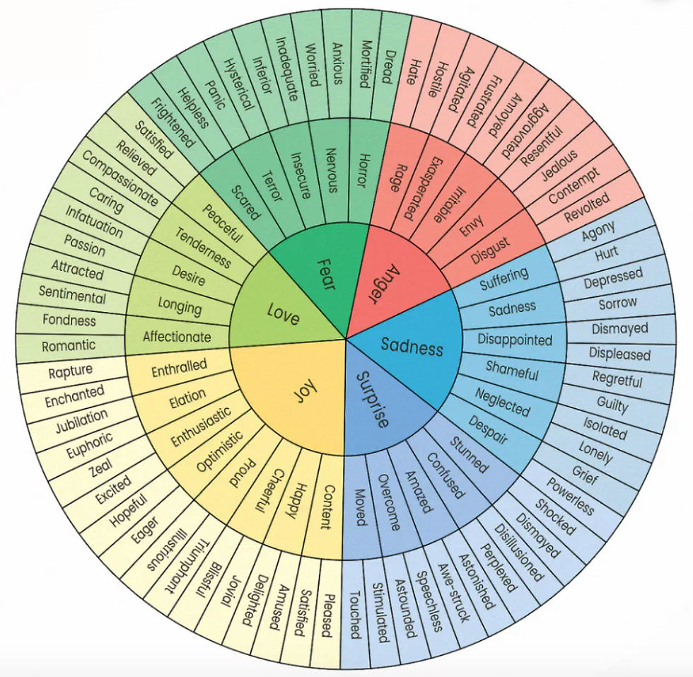 Emotion Wheel
