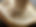 IMG_9976.jpeg