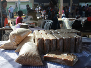 5° Festival da Rapadura de Furnas do Dionísio